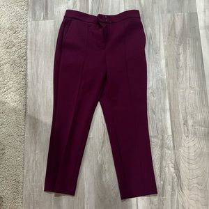 Elegant Women's Purple Pants